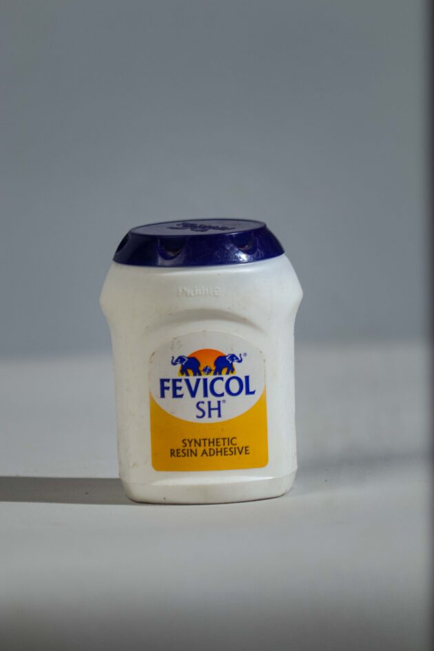 FEVICOL SH 125g