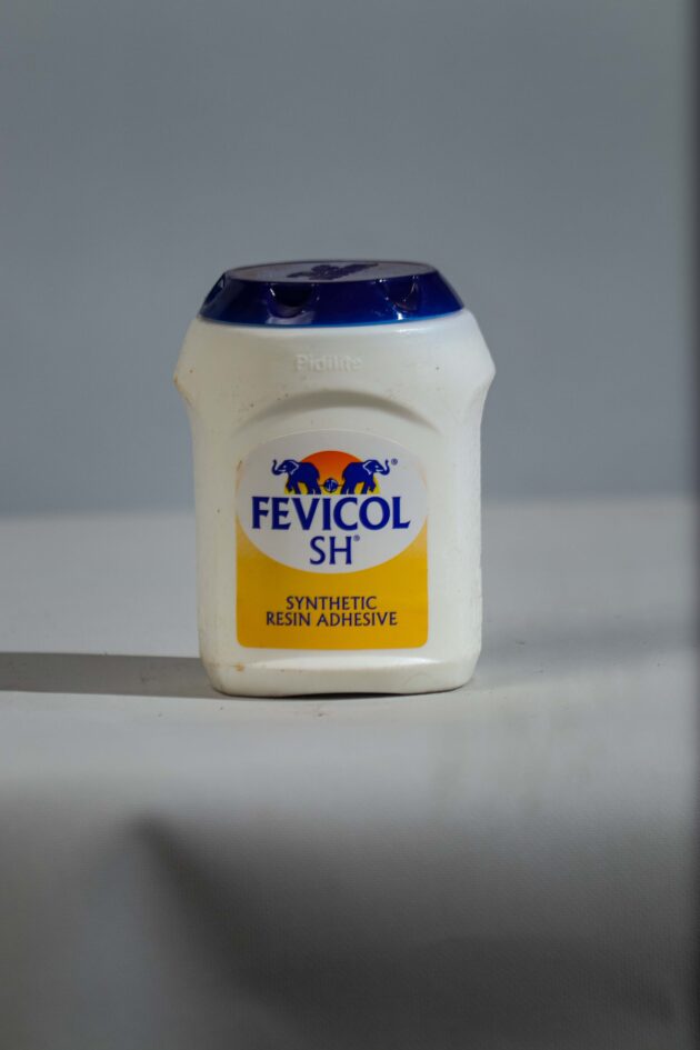 FEVICOL SH 500g